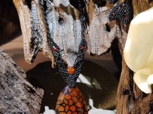 Collier noir en macramé sur agate orange et noire